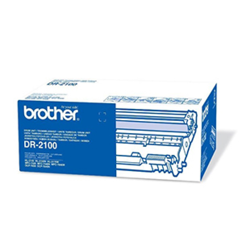 Tamburo Di Stampa Brother DR-2100