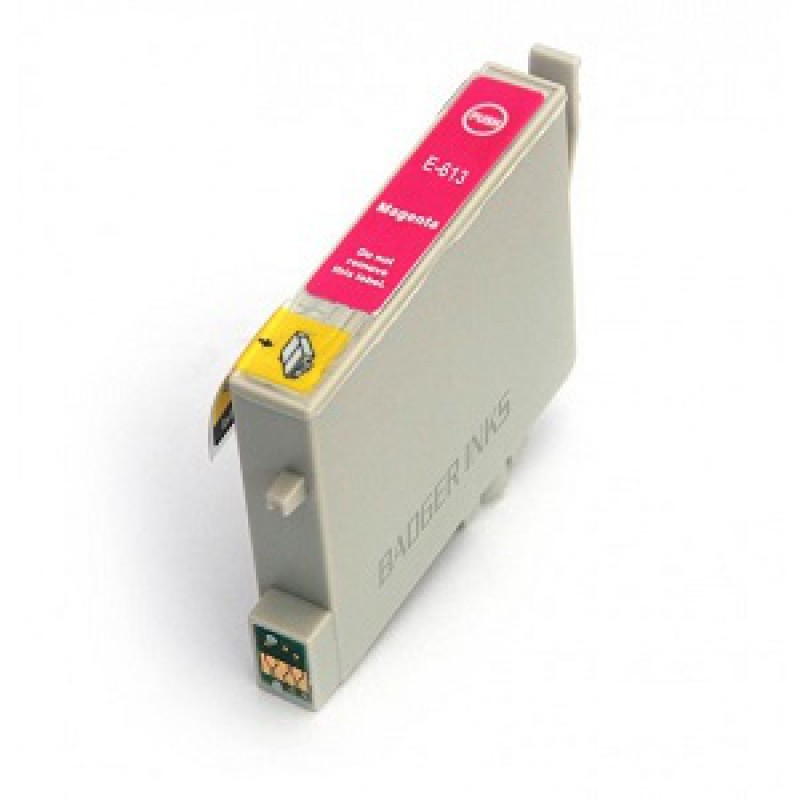 Cartuccia Epson Compatibile T0613